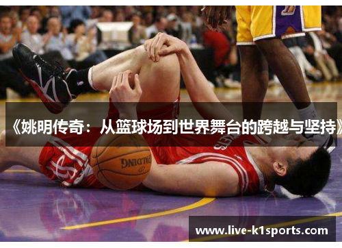 《姚明传奇：从篮球场到世界舞台的跨越与坚持》